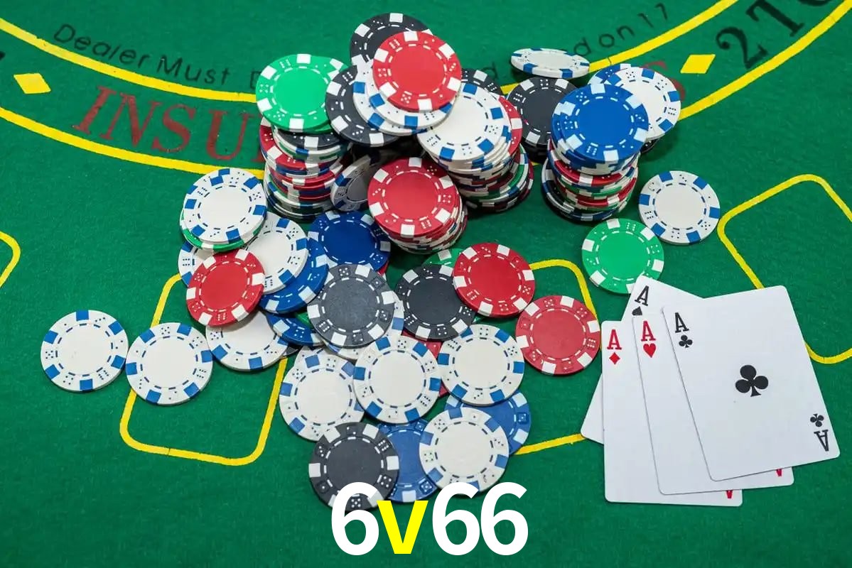 Interface Premium 6v66